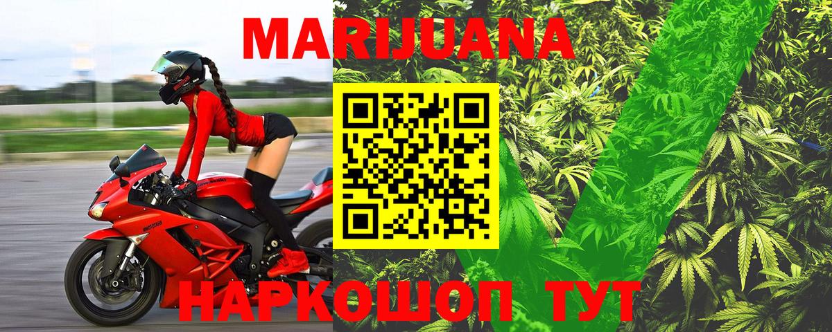 Каннабис OG Kush Дубна